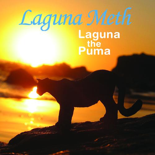 Постер альбома Laguna The Puma