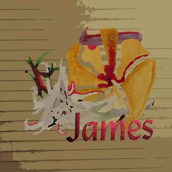 Постер альбома James
