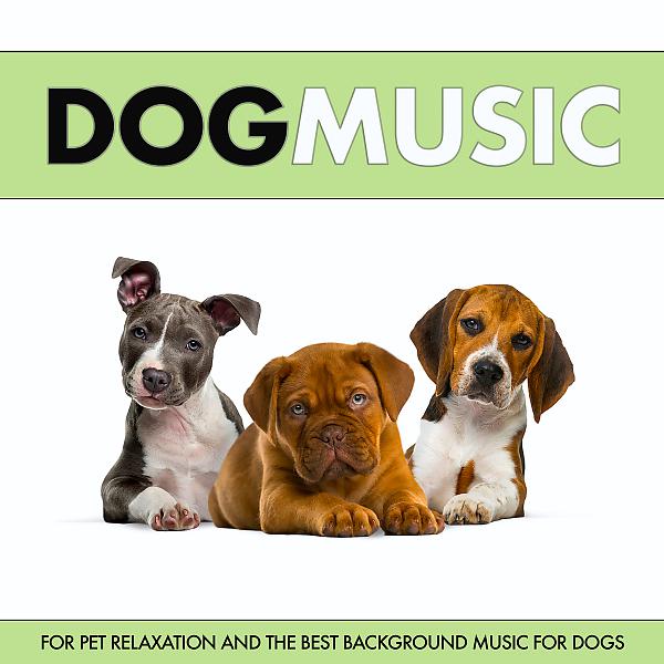 Постер альбома Dog Music For Pet Relaxation and The Best Music For Dogs