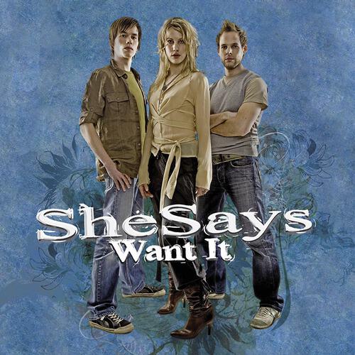 SheSays - Businessman