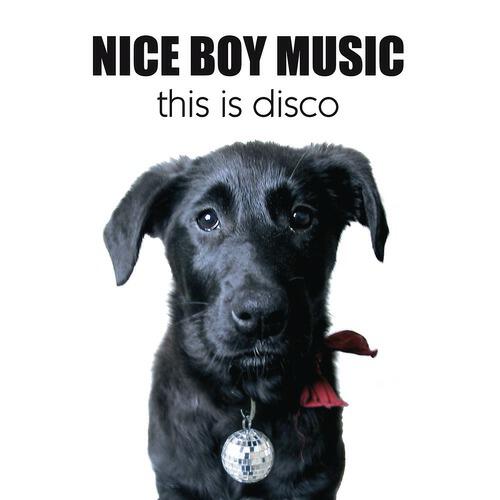 Nice Boy Music - This Is Disco