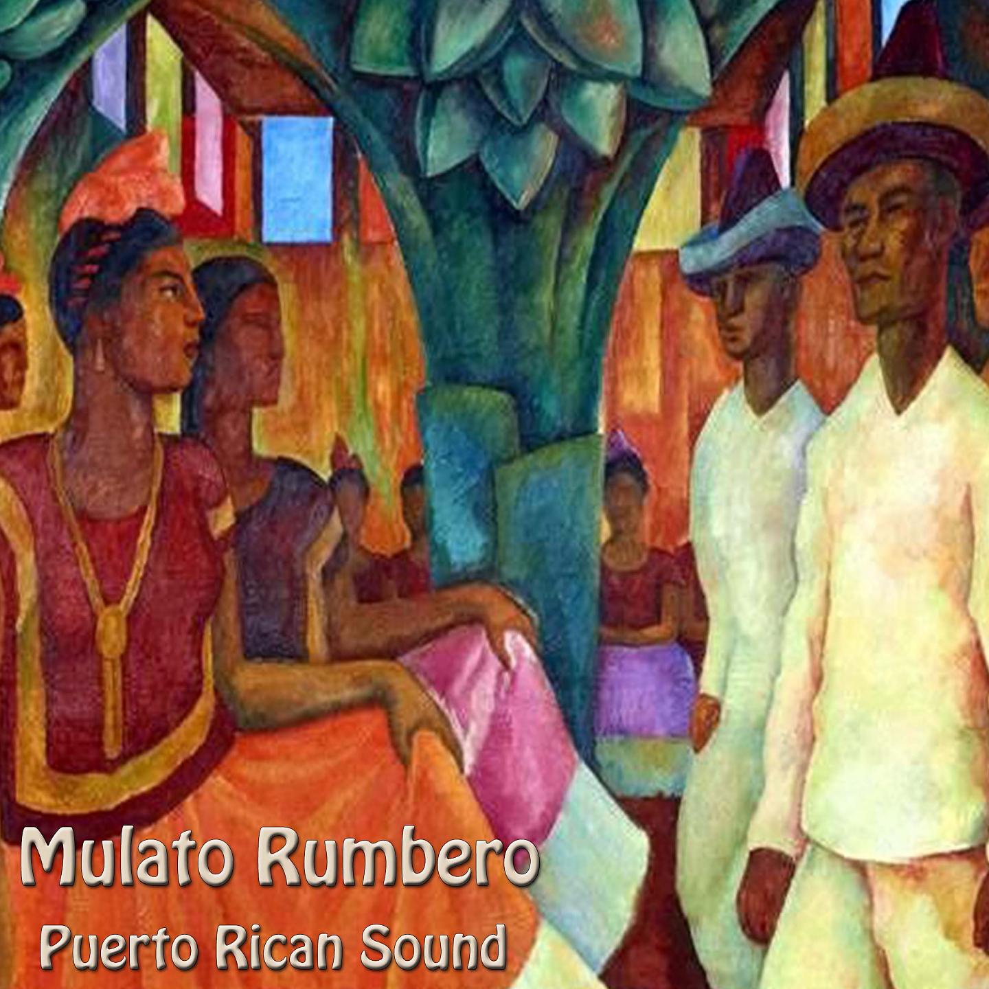 Постер альбома Mulato Rumbero