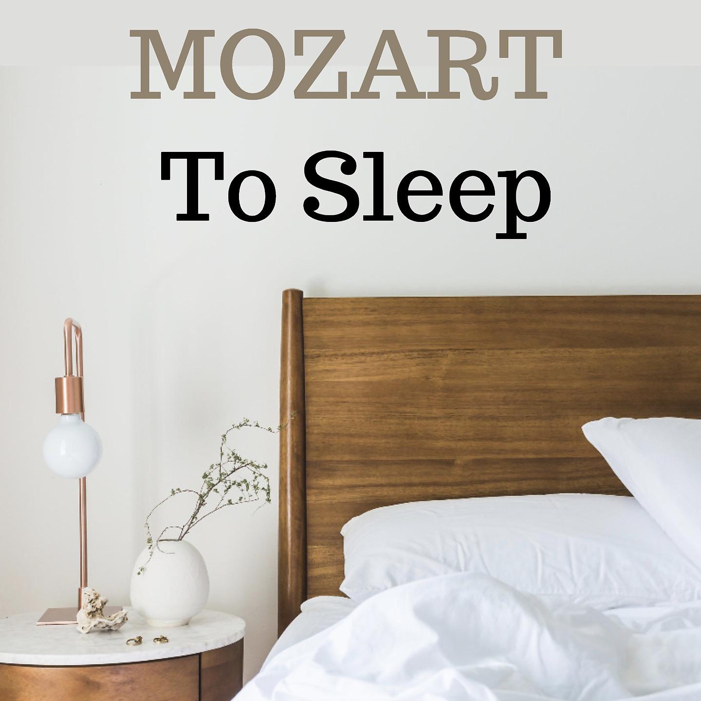 Постер альбома Mozart to sleep
