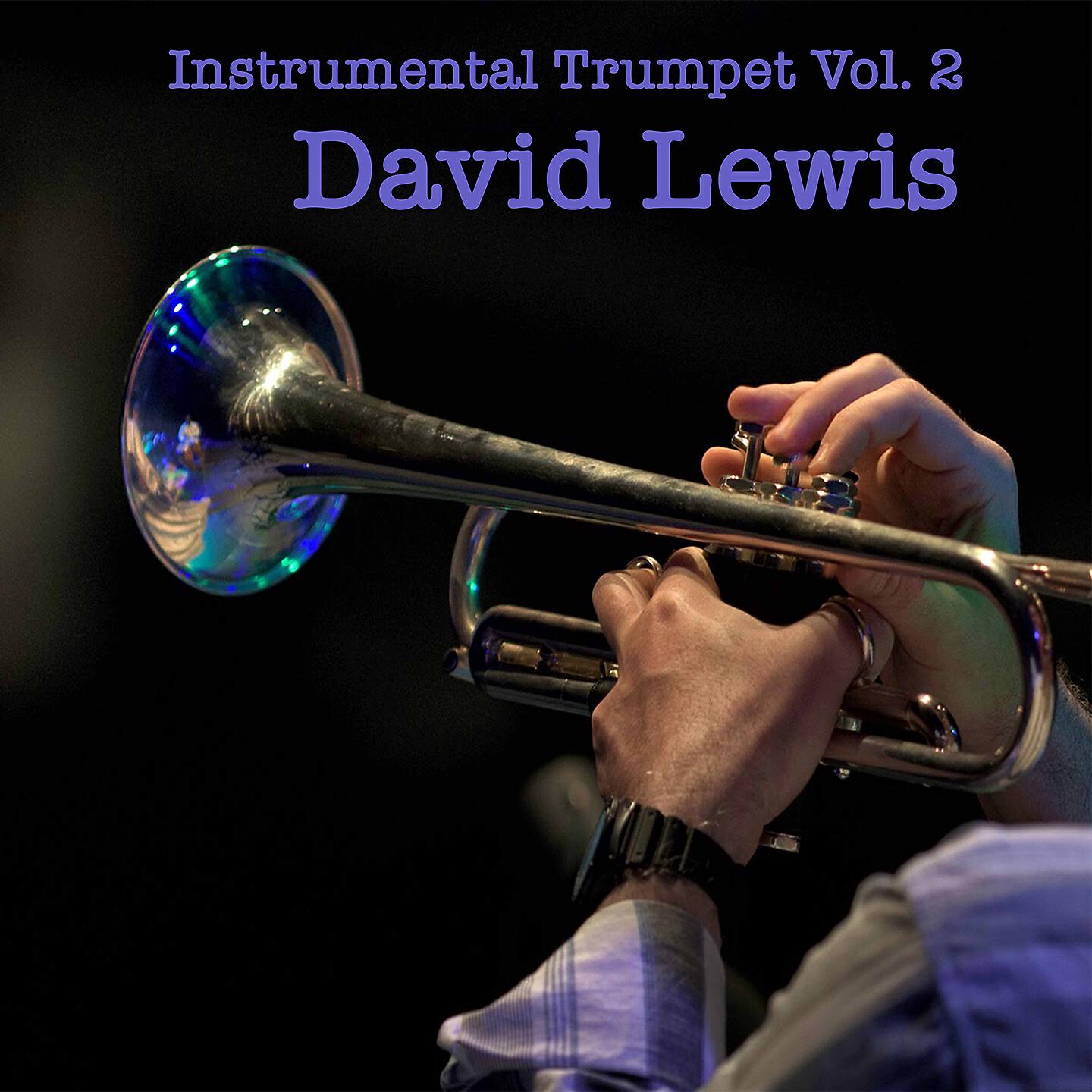 David Lewis - Aires Gitanos