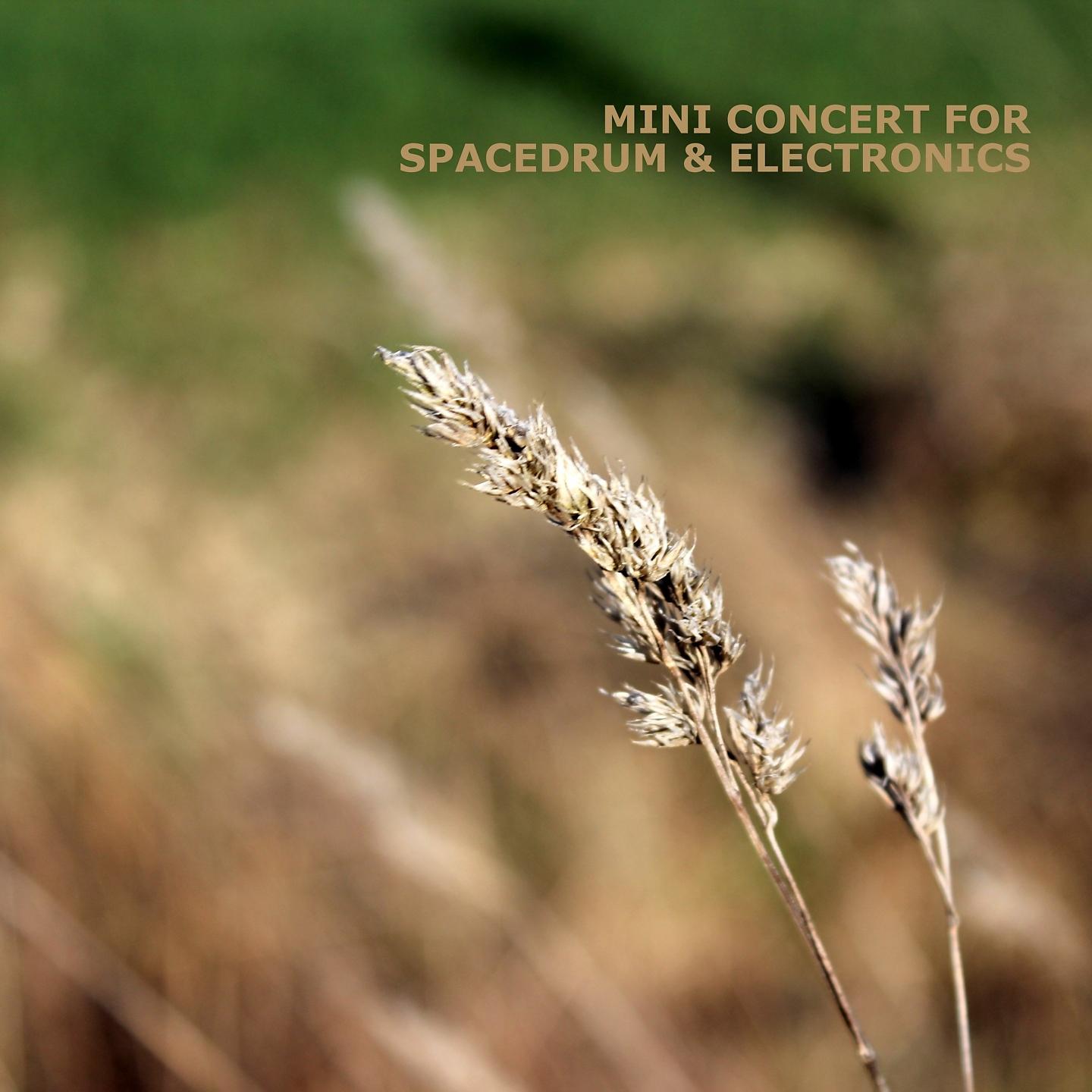 Постер альбома Spacedrum & Electronics