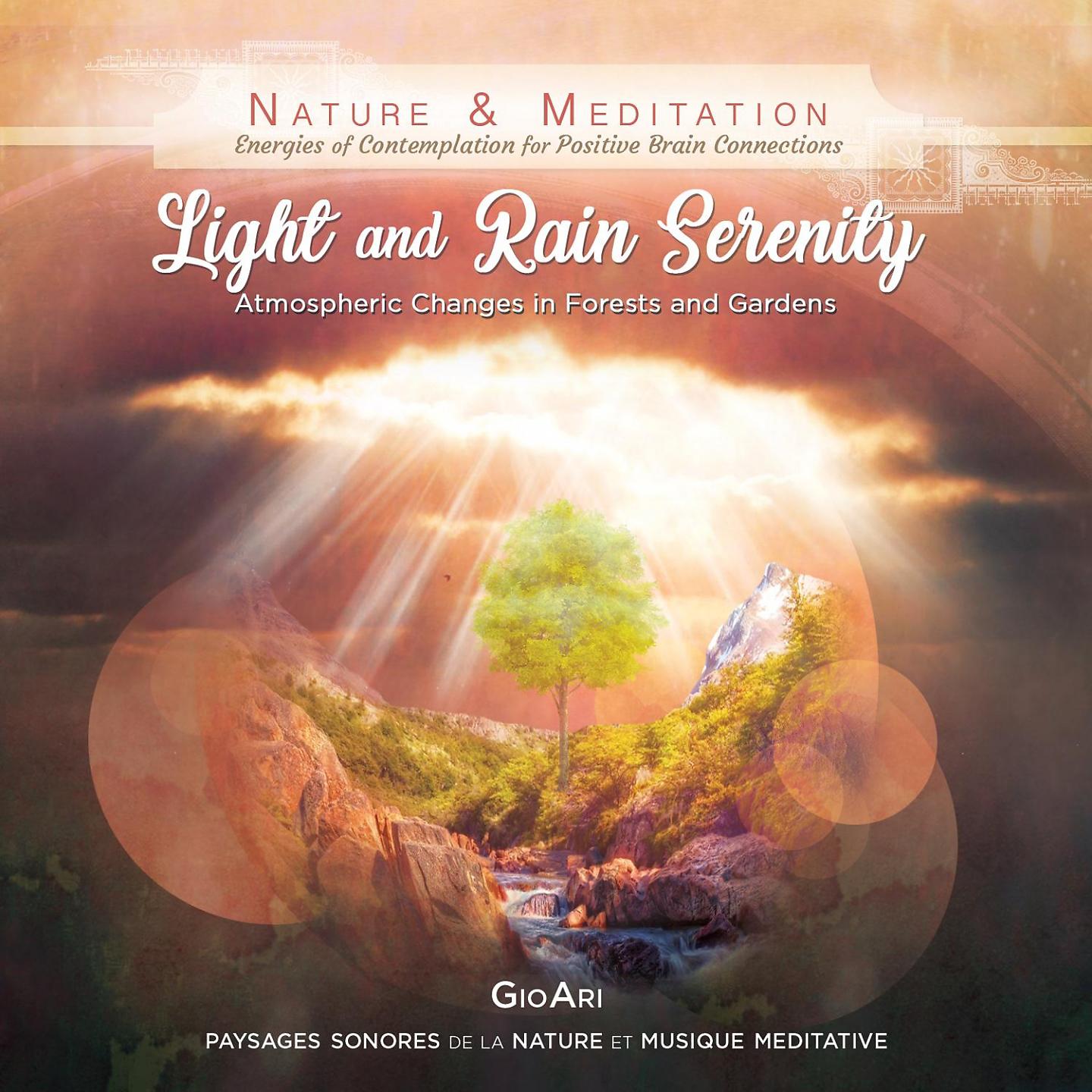 Постер альбома Light & Rain Serenity