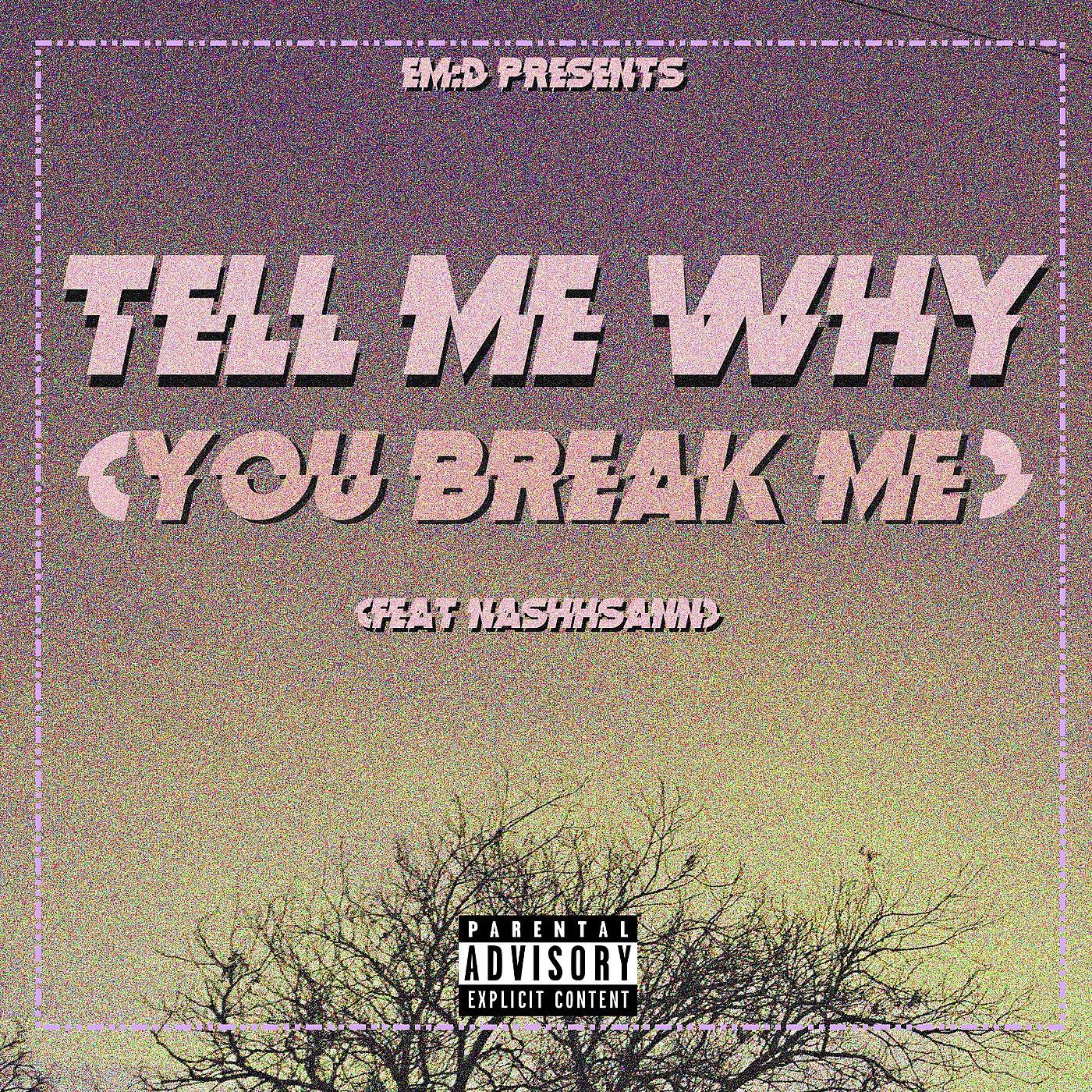 Постер альбома Tell Me Why (You Break Me)