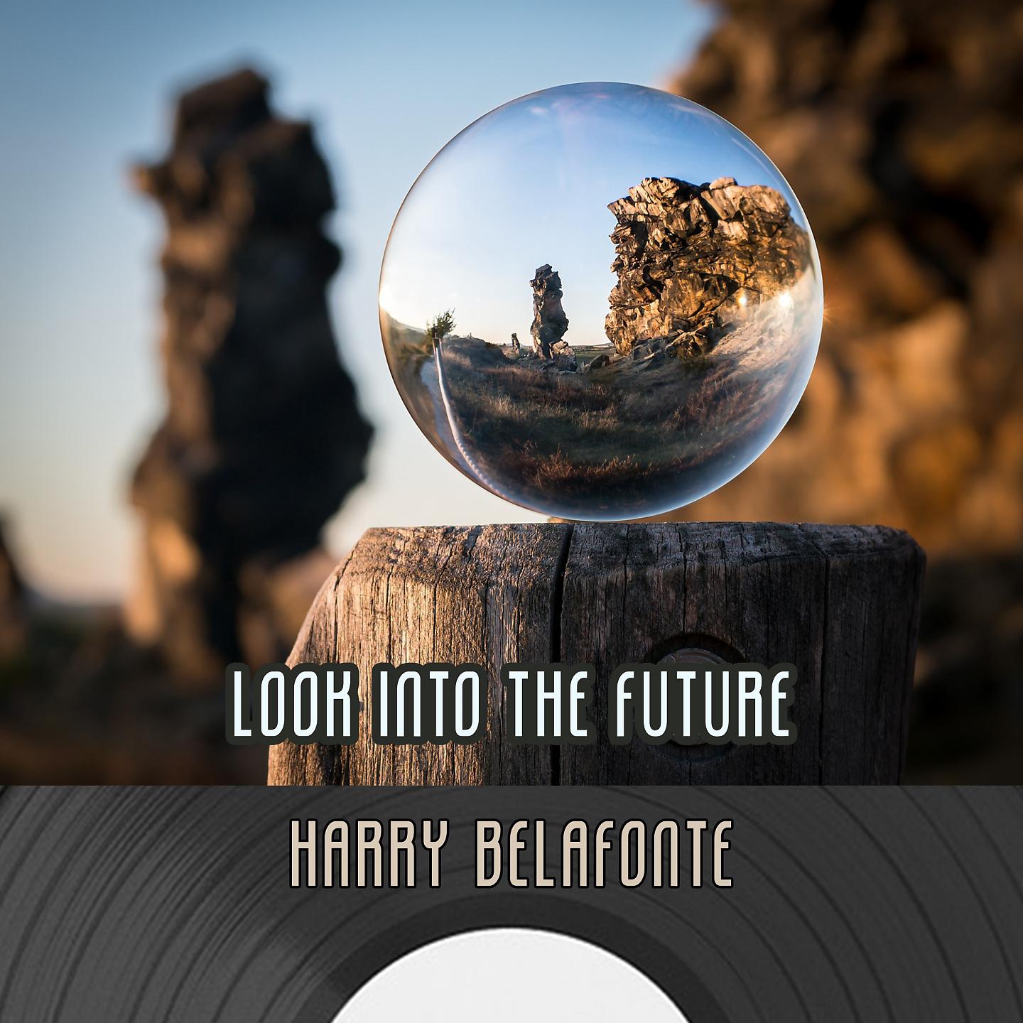 Постер альбома Look Into The Future