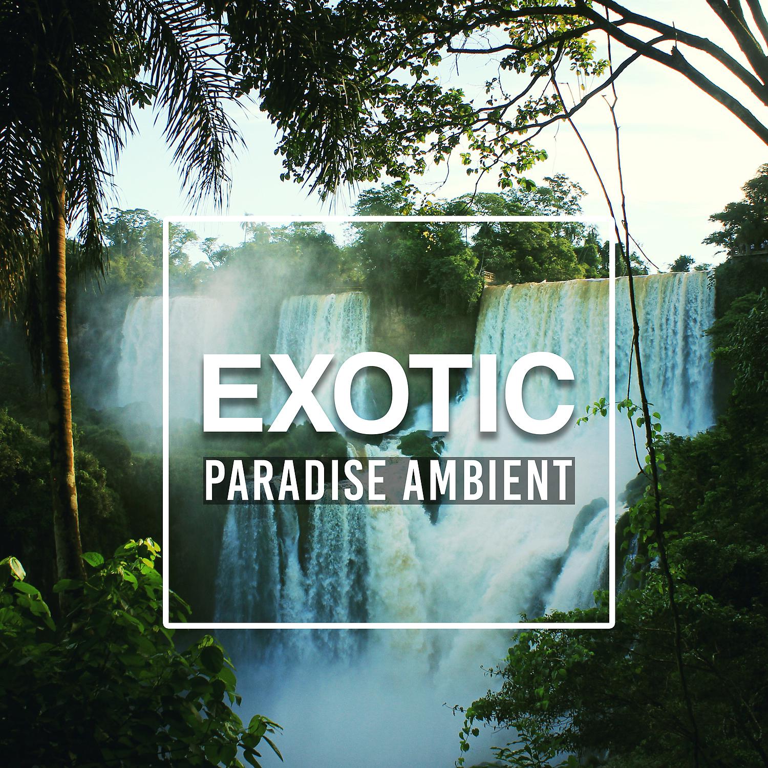 Постер альбома Exotic Paradise Ambient: Tropical Nature Sounds, Blissful Massage, Relaxing Summer Dreams, Spa Chill Lounge