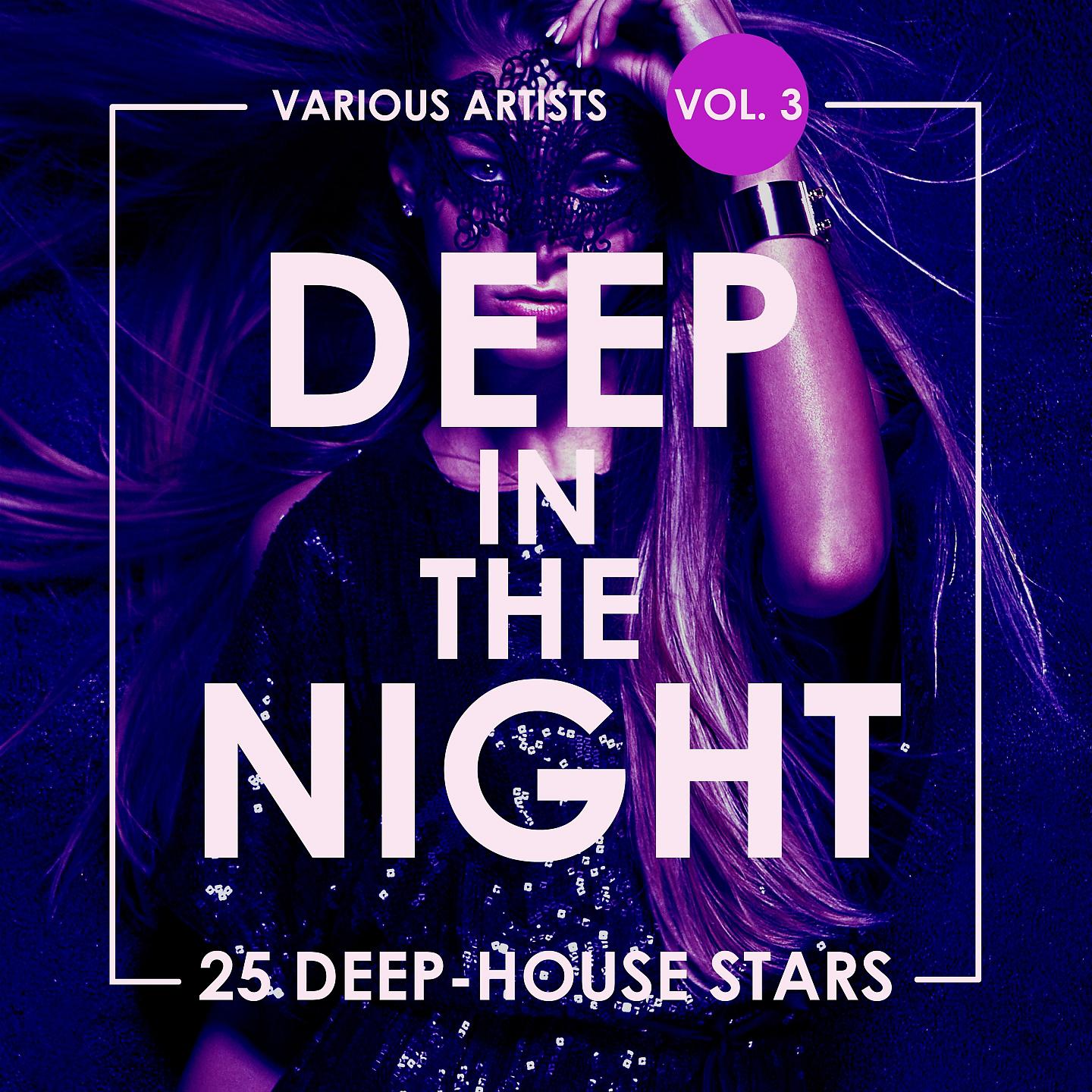 Постер альбома Deep In The Night, Vol. 3 (25 Deep-House Stars)
