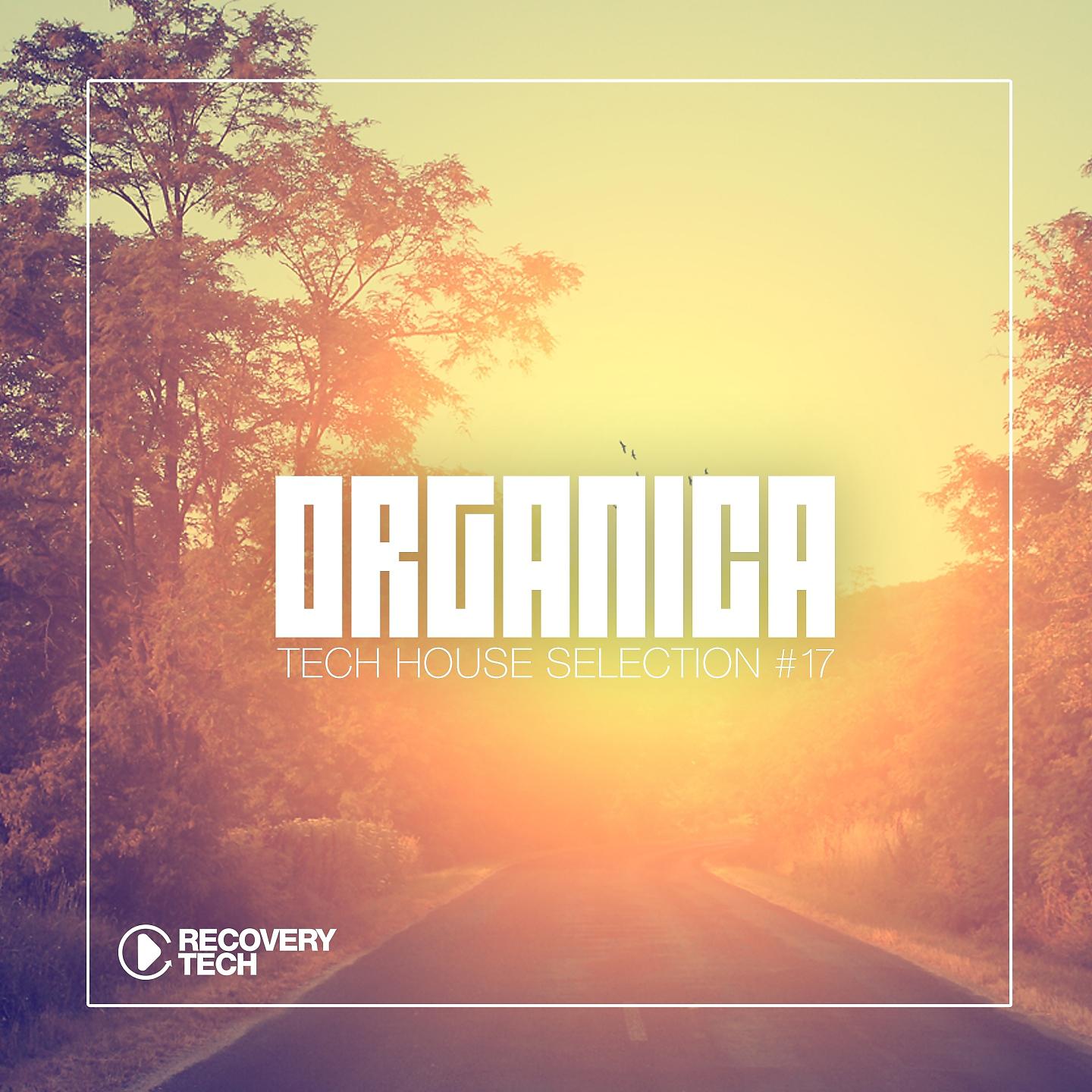 Постер альбома Organica #17