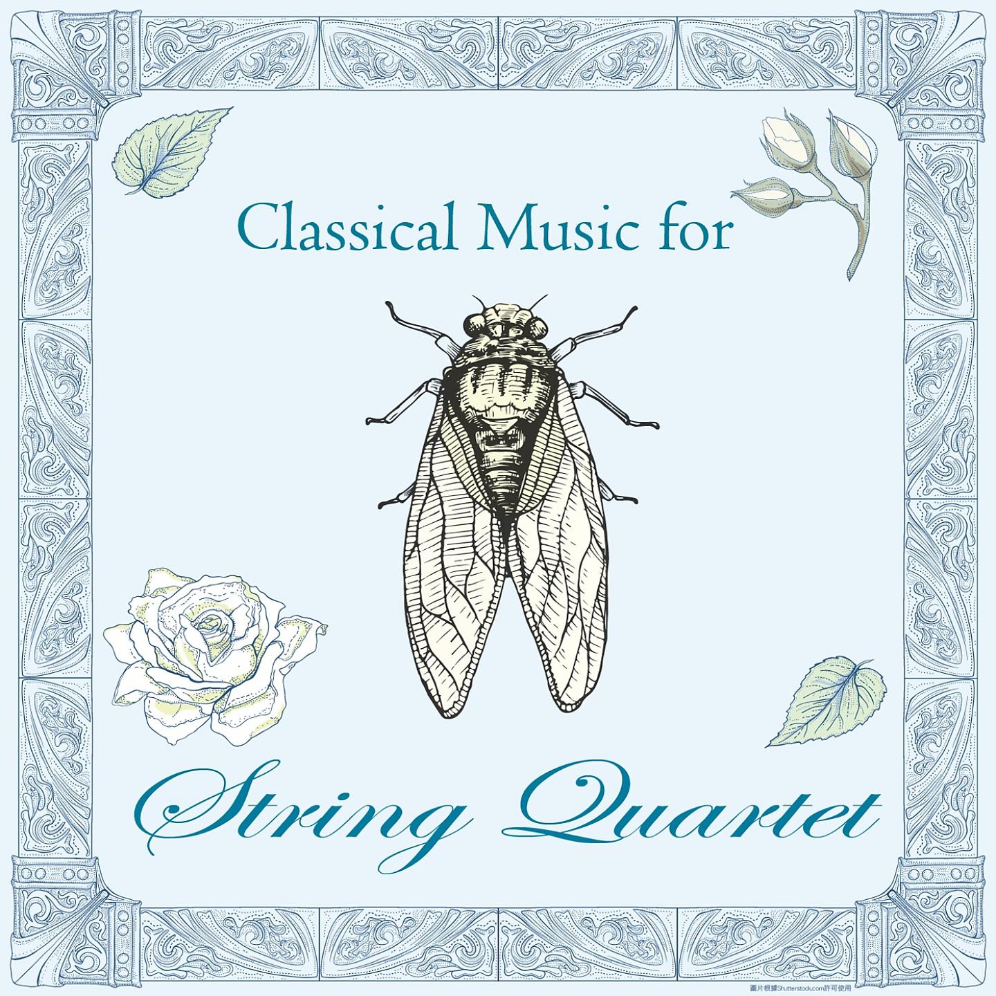Постер альбома Classical Music for String Quartet