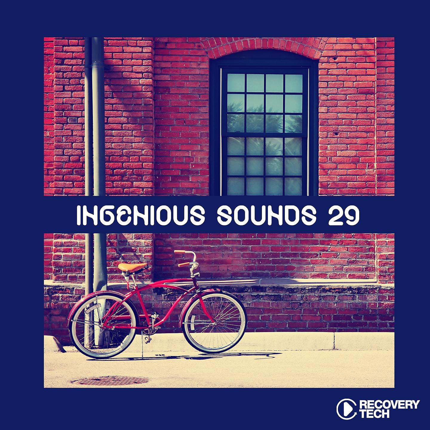 Постер альбома Ingenious Sounds, Vol. 29