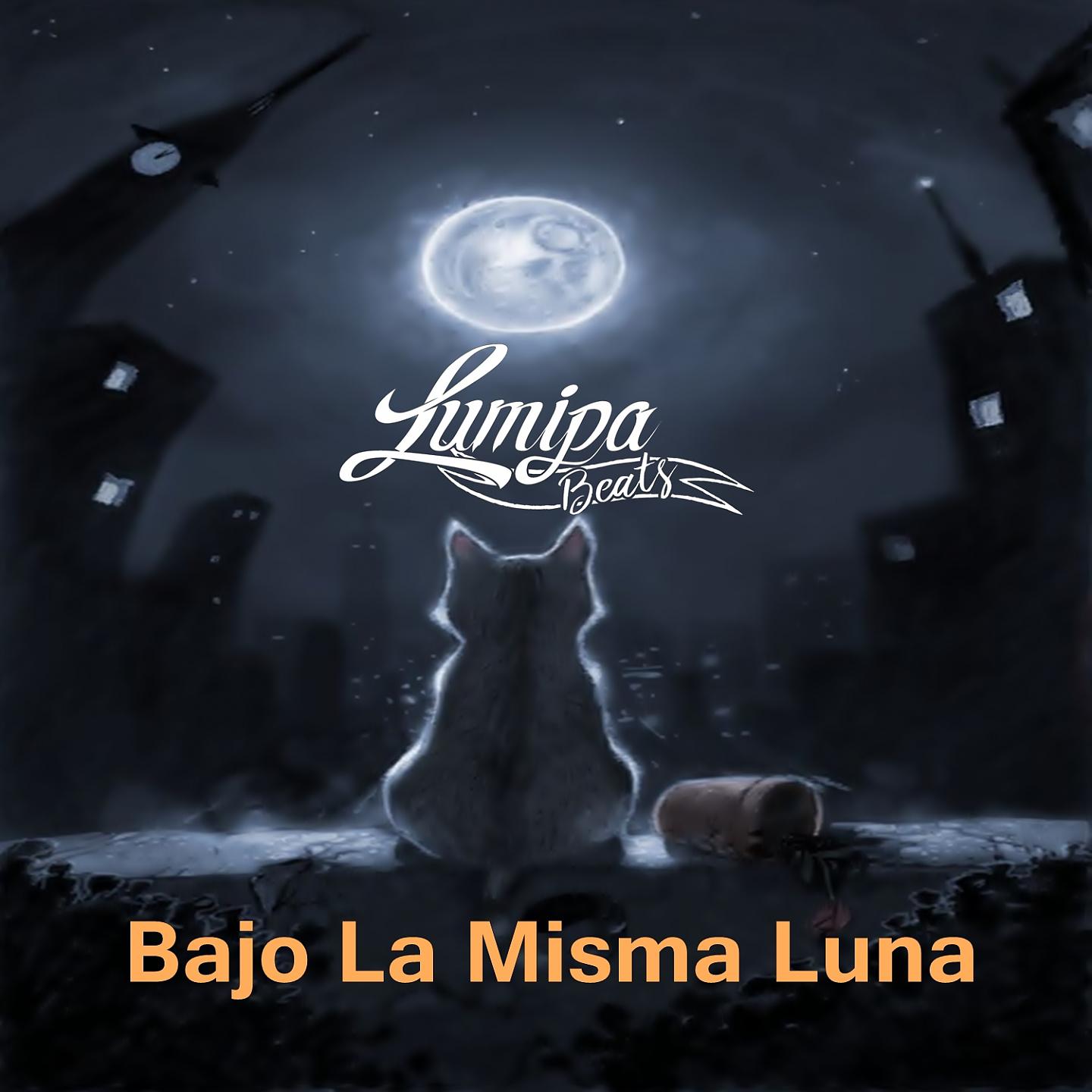 Постер альбома Bajo la Misma Luna