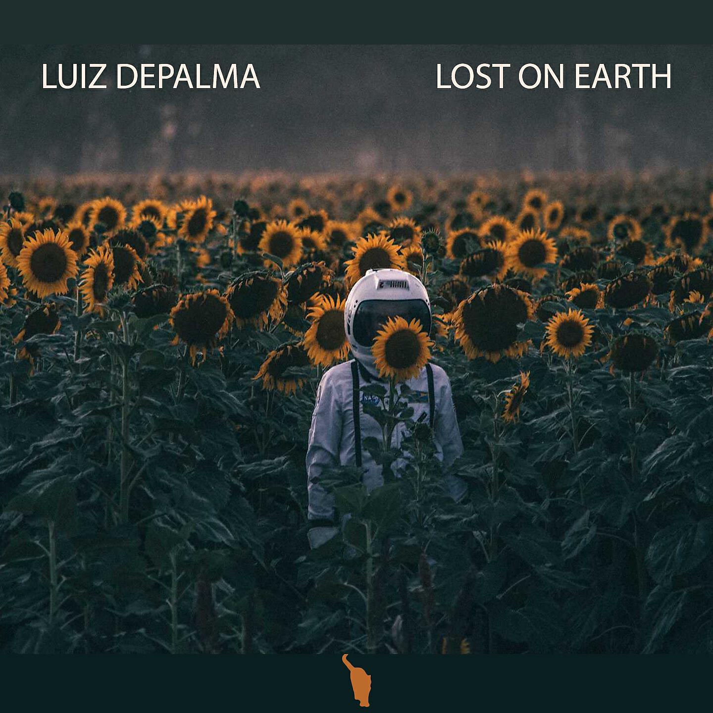 Luiz DePalma - Elevate (Do You Think All This Can Last?)