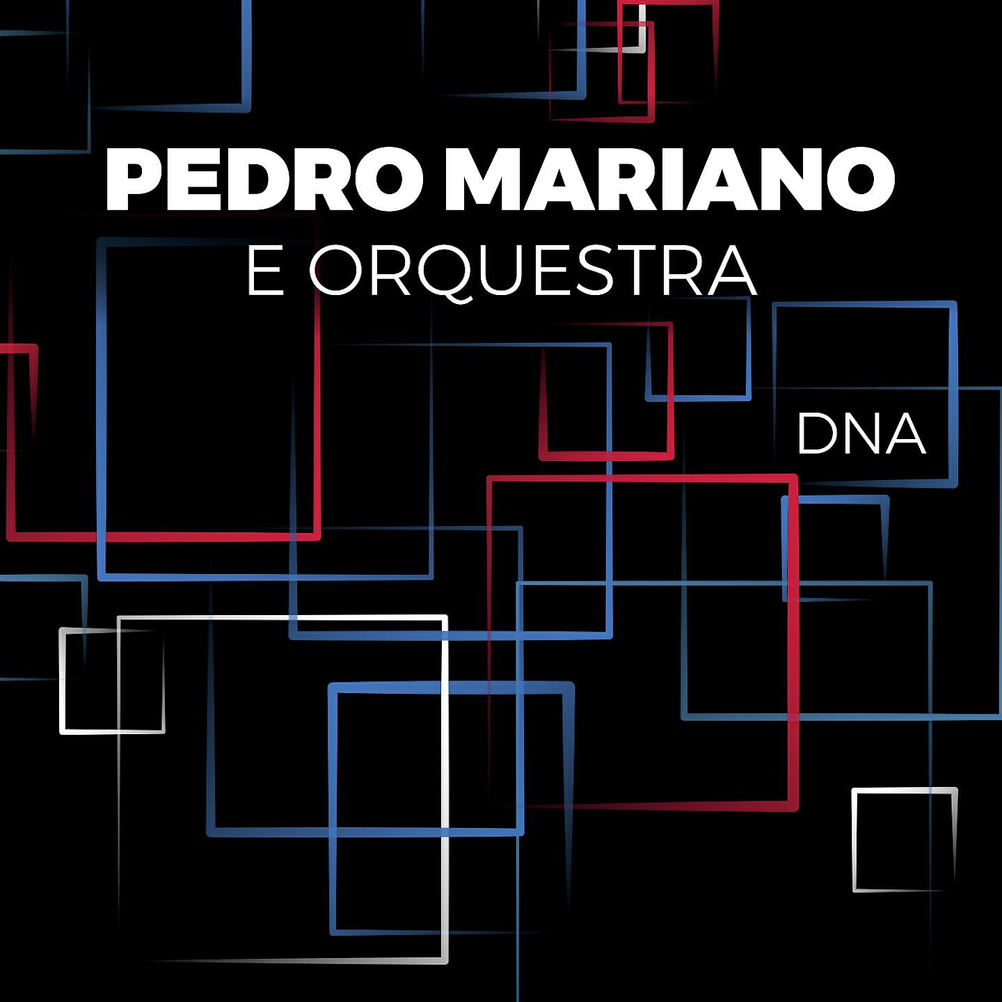 Pedro Mariano - Labirinto