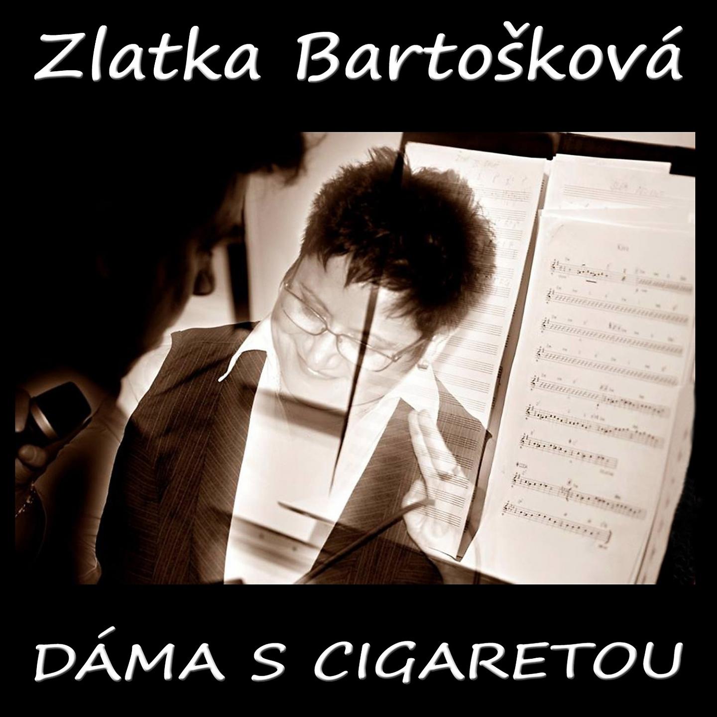 Постер альбома Dáma S Cigaretou
