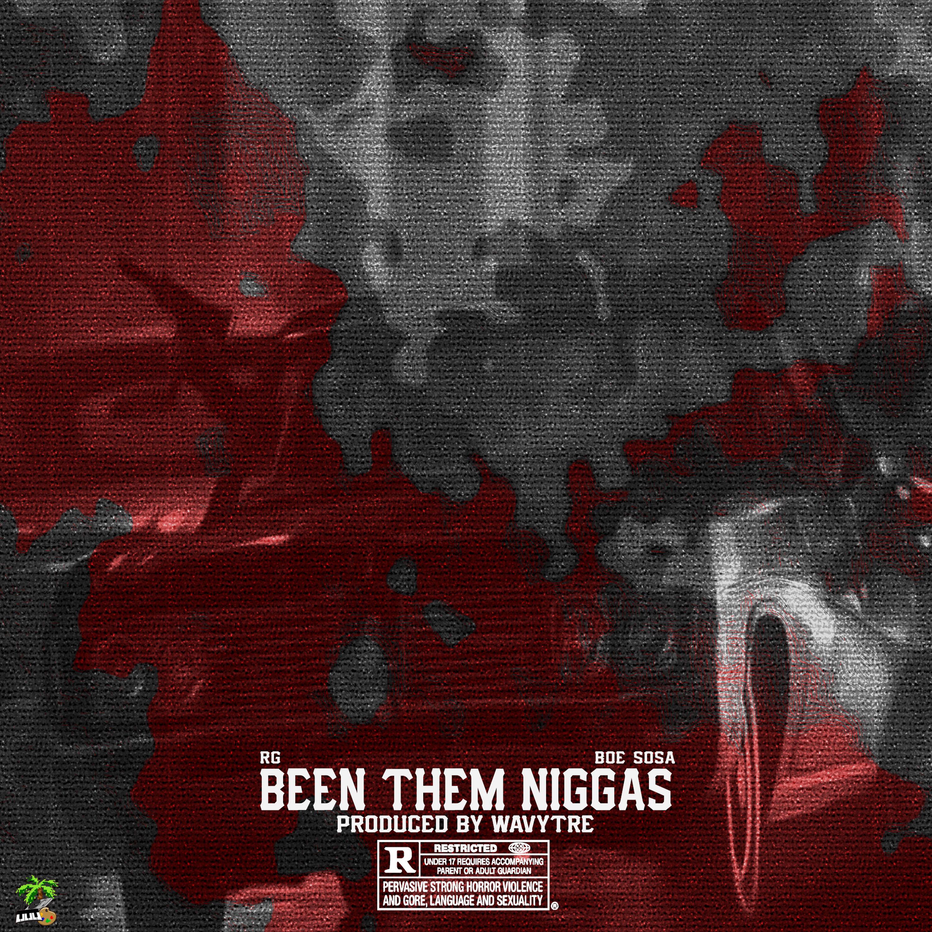 Постер альбома Been Them Niggas (feat. BOE Sosa)