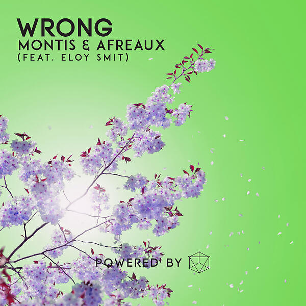 Afreaux - Wrong (feat. Eloy Smit)
