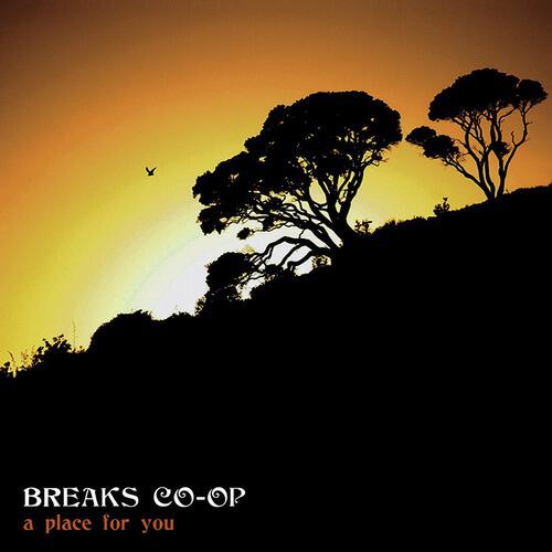 Breaks Co-Op - A Place For You (Single Version)