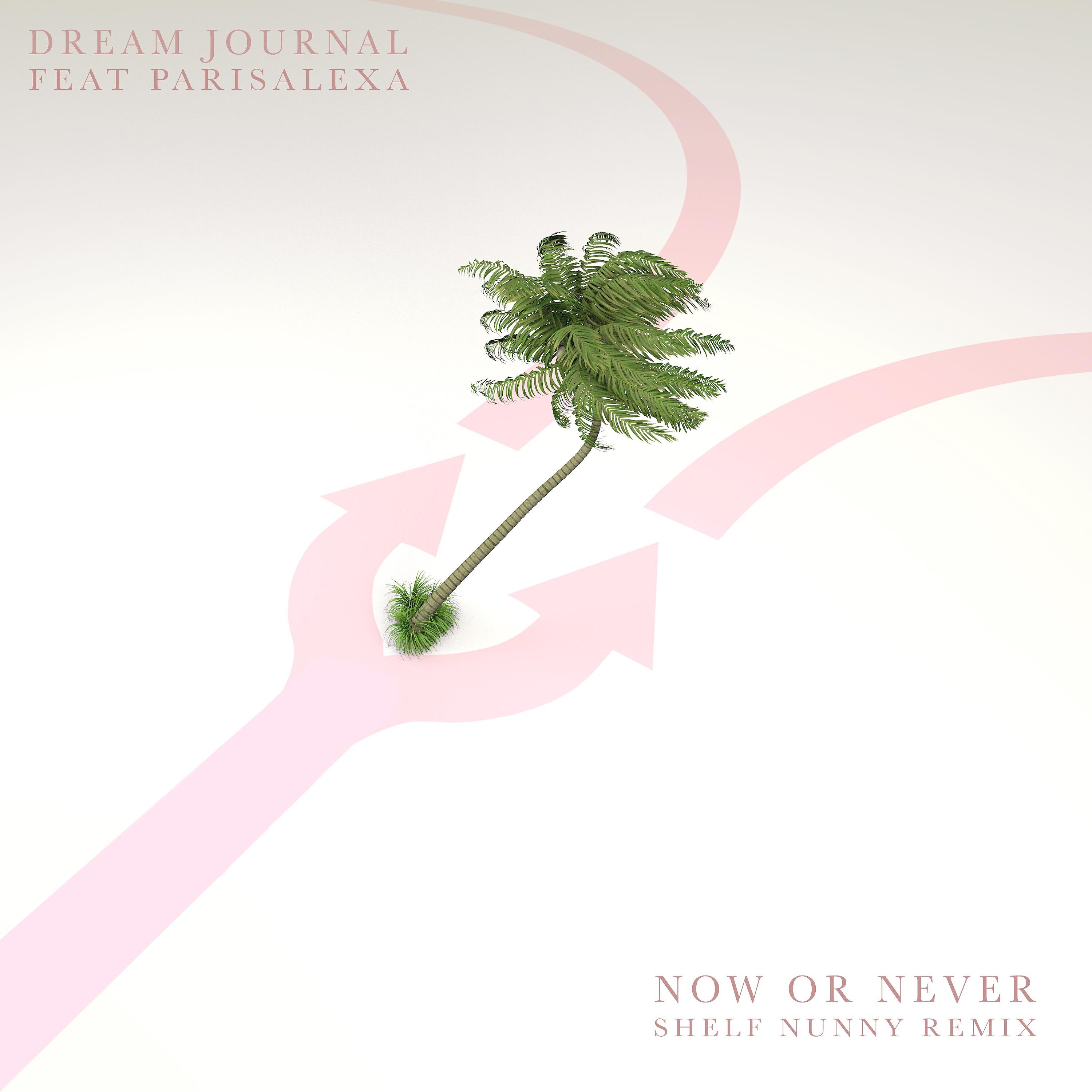 Dream Journal - Now or Never (feat. ParisAlexa) (Shelf Nunny Remix)