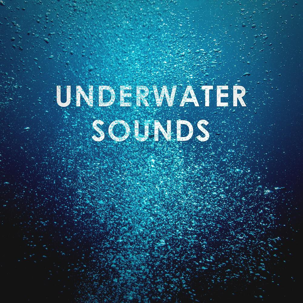 Deep Ocean Relax - Underwater Sounds: Diving into Sleep and Detente Asmr