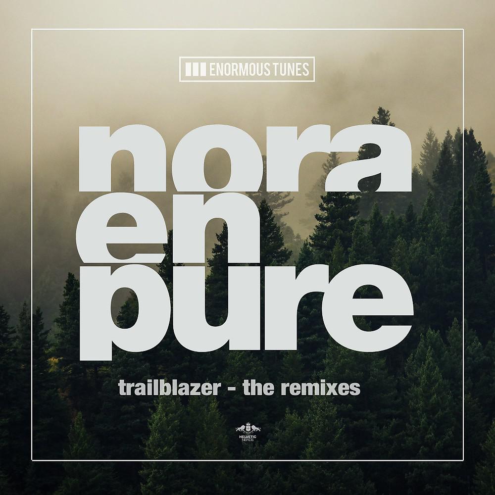 Постер альбома Trailblazer - The Remixes