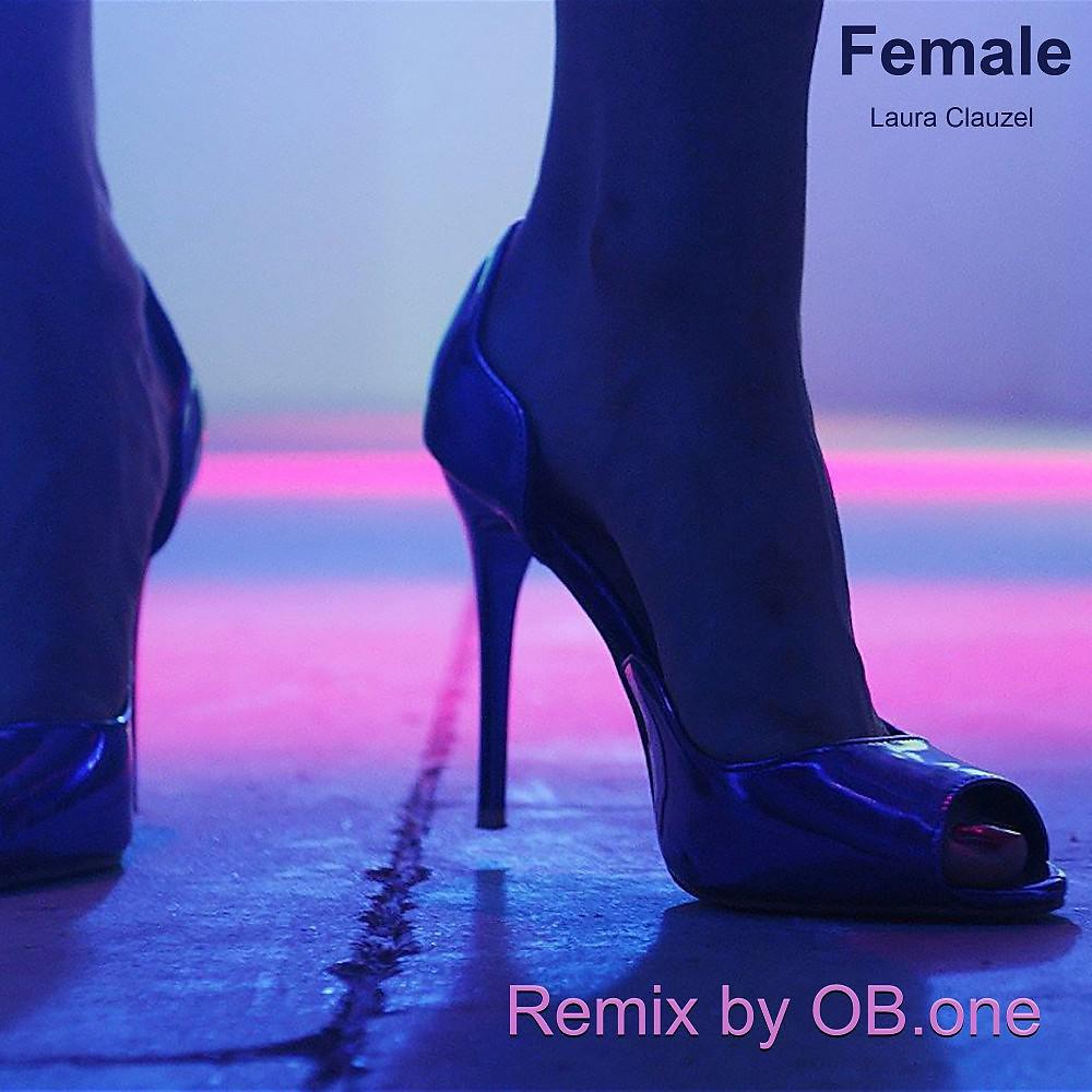 Постер альбома Female (Remix)