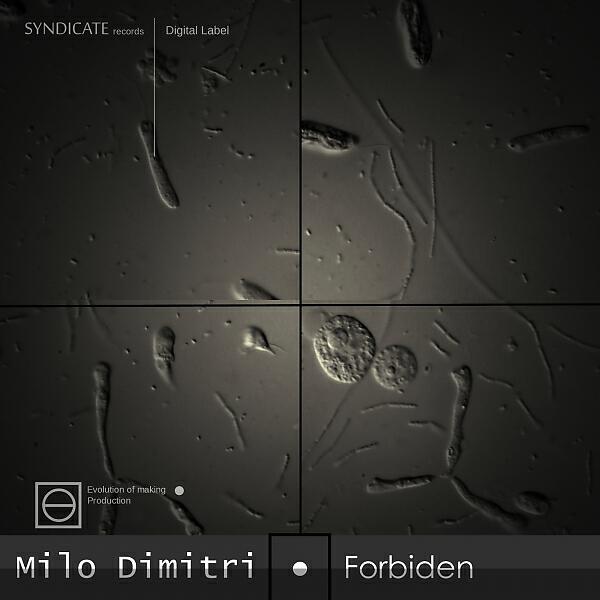 Milo Dimitri - Forest in the forest