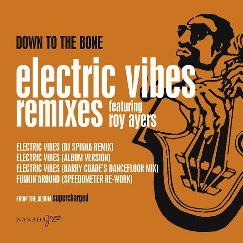 Постер альбома Electric Vibes
