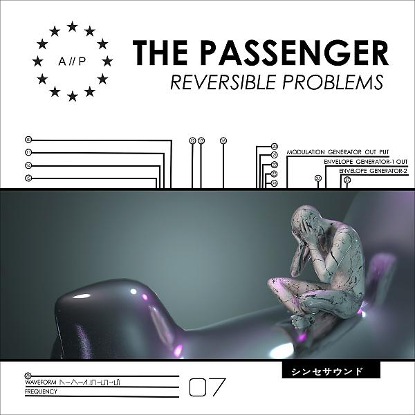 Постер альбома Reversible Problems