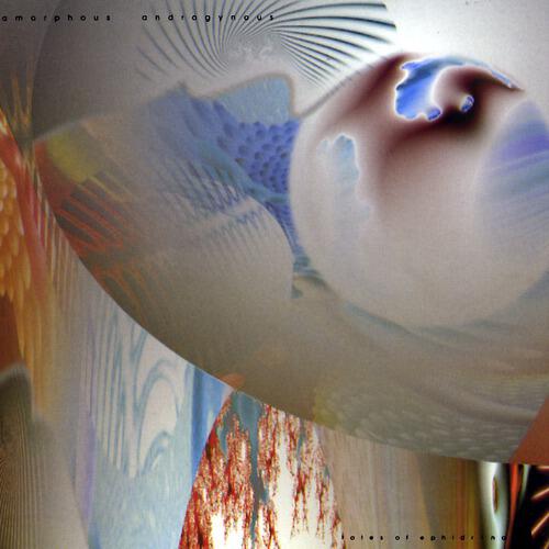 The Amorphous Androgynous - Swab