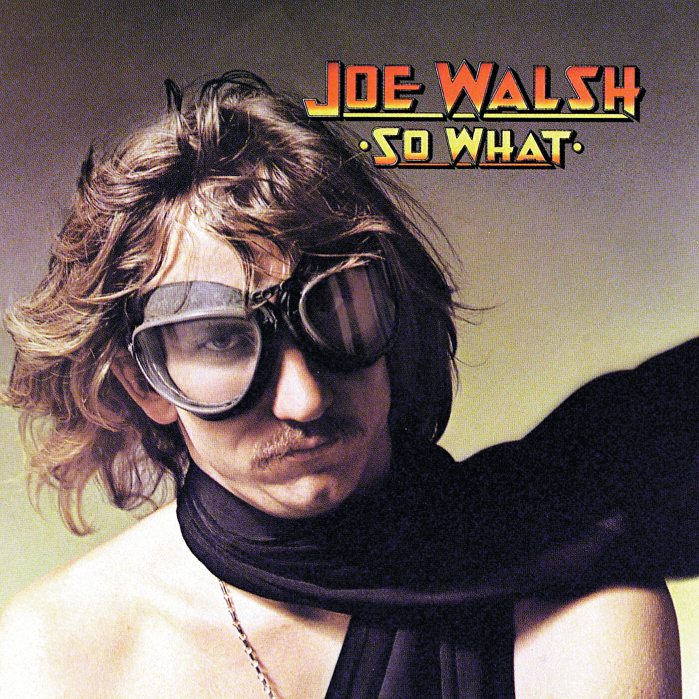 Joe Walsh - County Fair