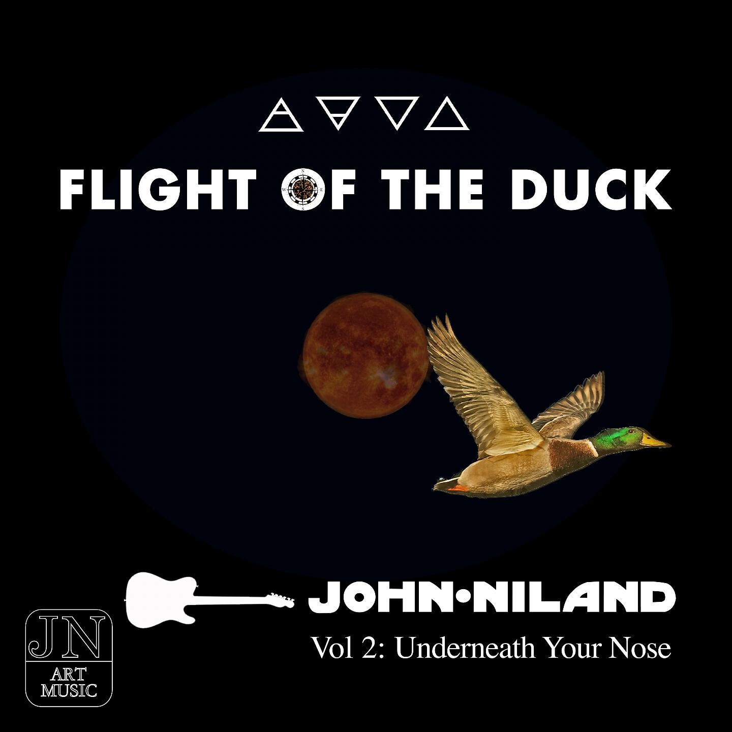John Niland - Underneath Your Nose