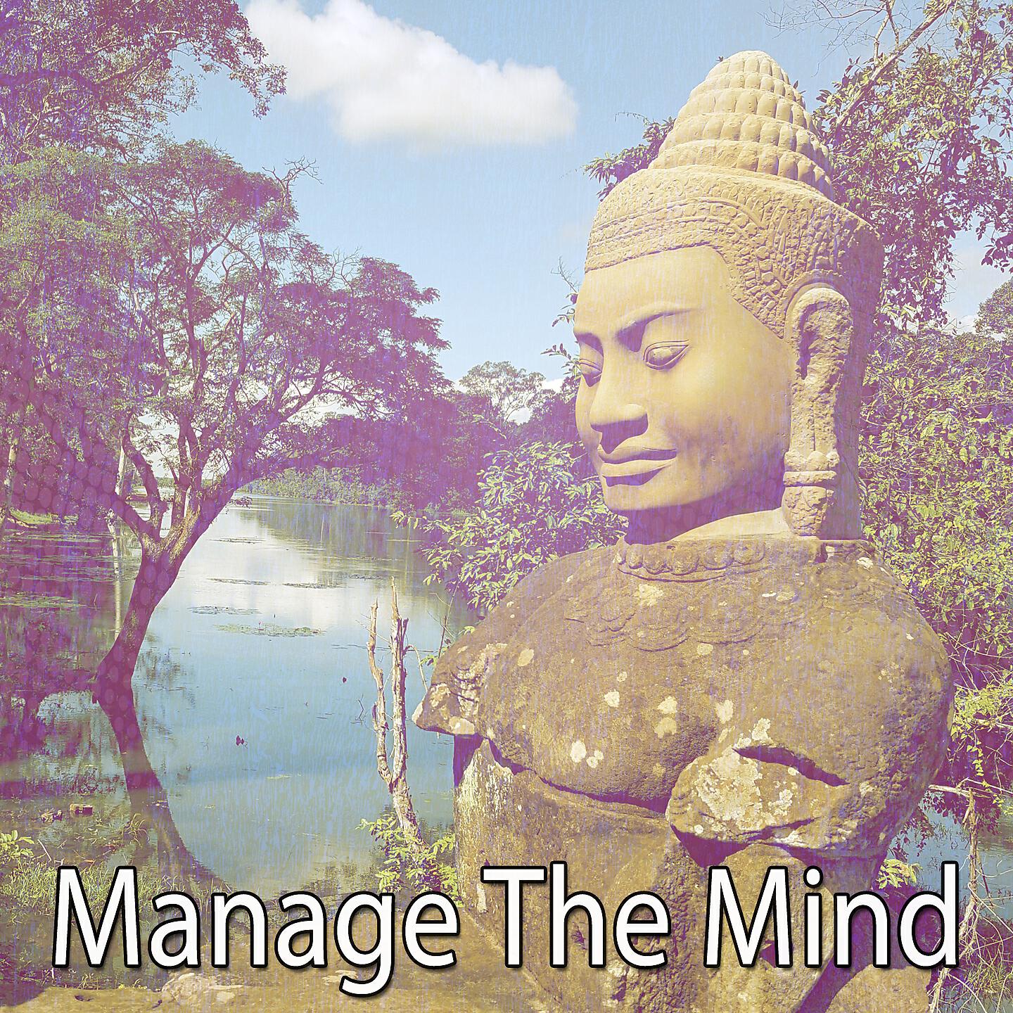 Meditation Awareness - Heavy Downpour