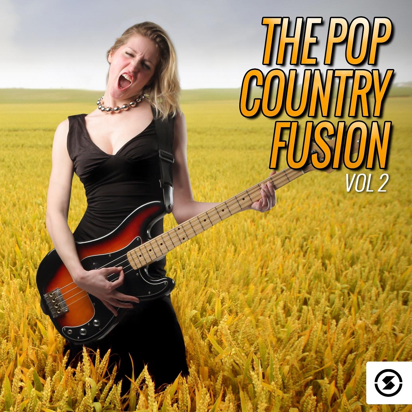 Постер альбома The Pop Country Fusion, Vol. 2