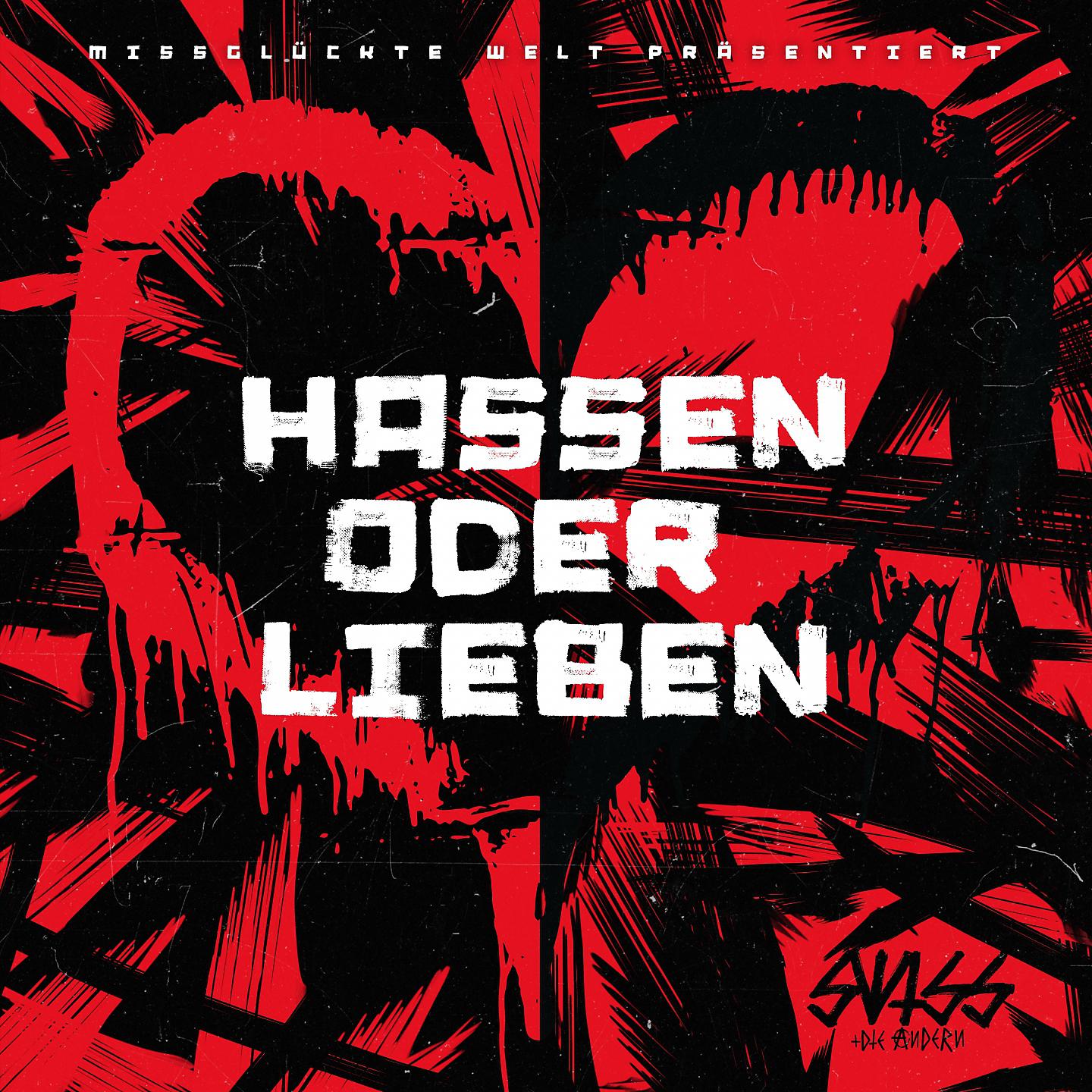 Постер альбома Hassen oder Lieben