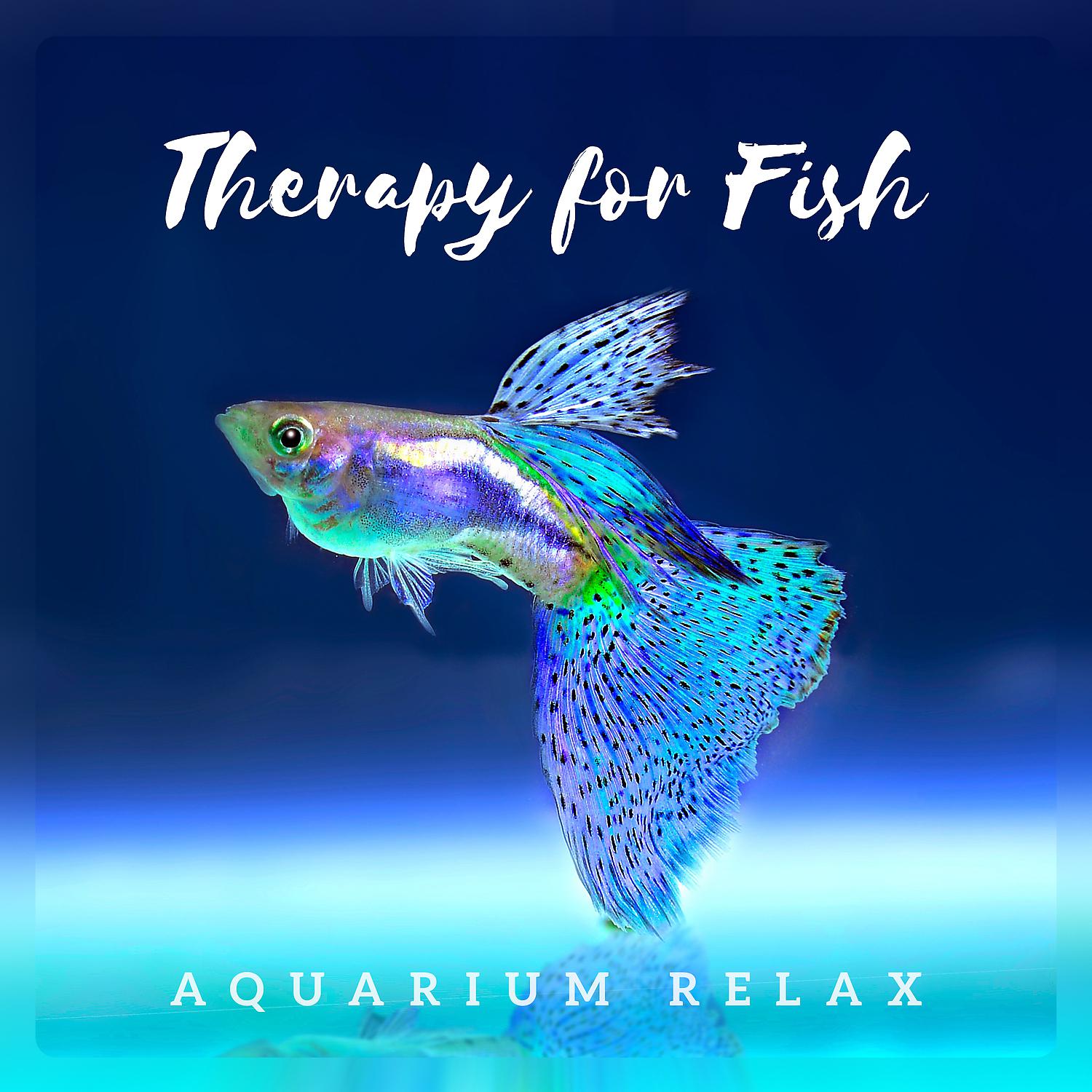 Постер альбома Therapy for Fish - Aquarium Relax, Calm Music for Pets, Stress Relief, Soothe and Comfort