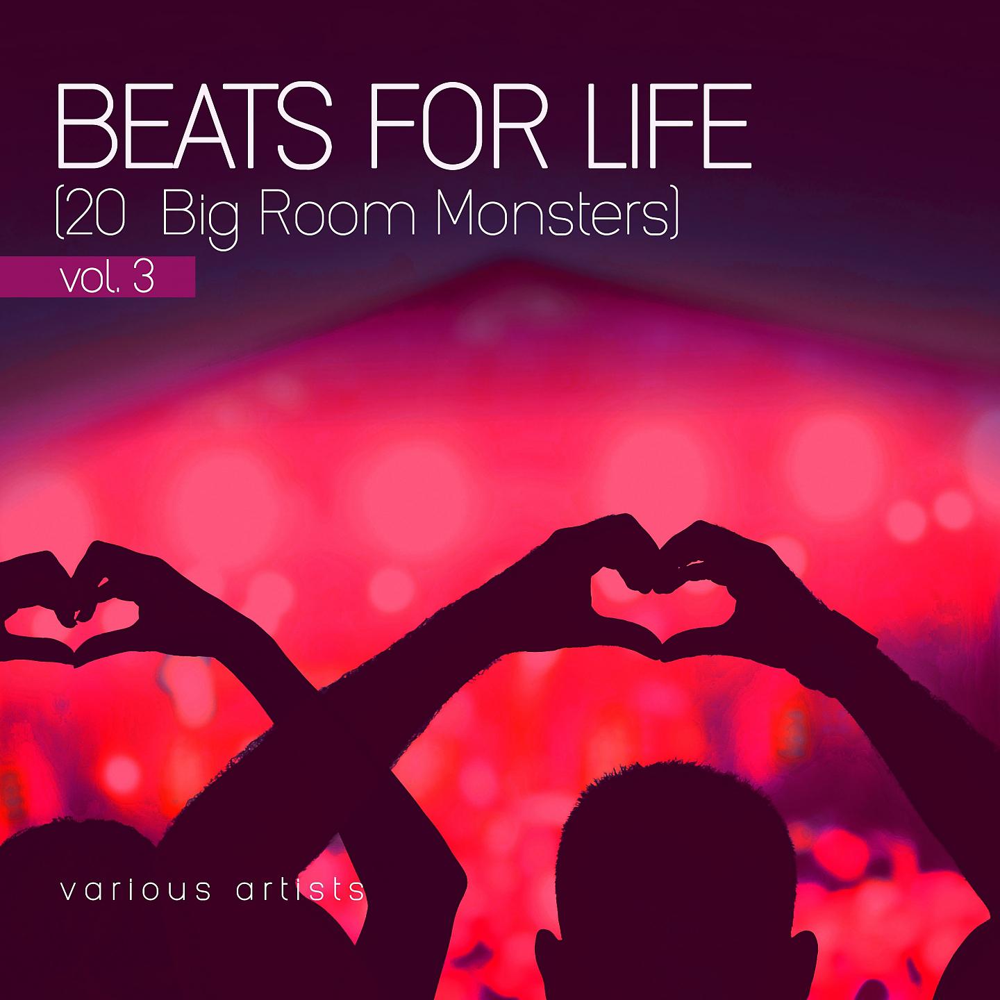 Постер альбома Beats for Life, Vol. 3 (20 Big Room Monsters)
