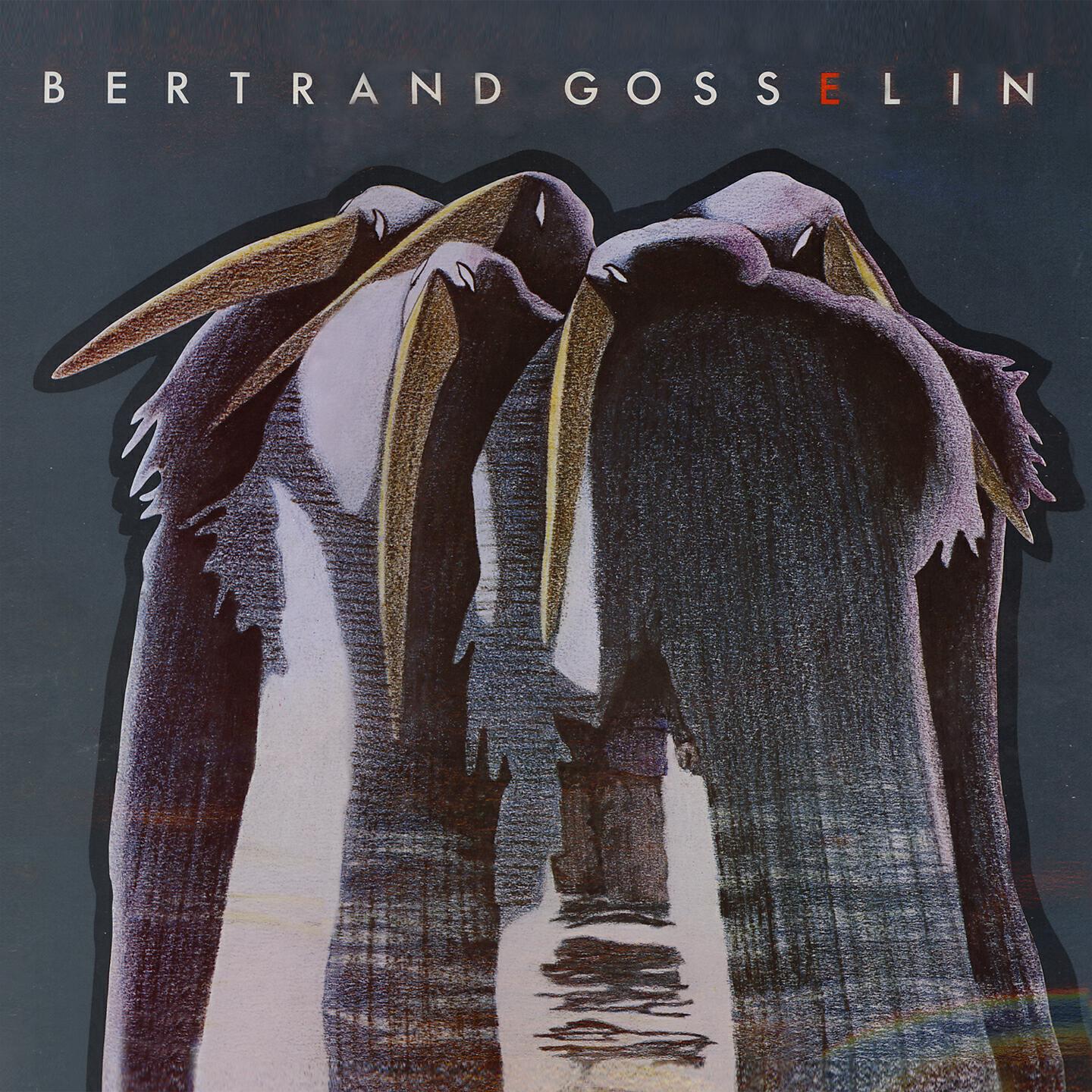 Bertrand Gosselin - Une âme malade