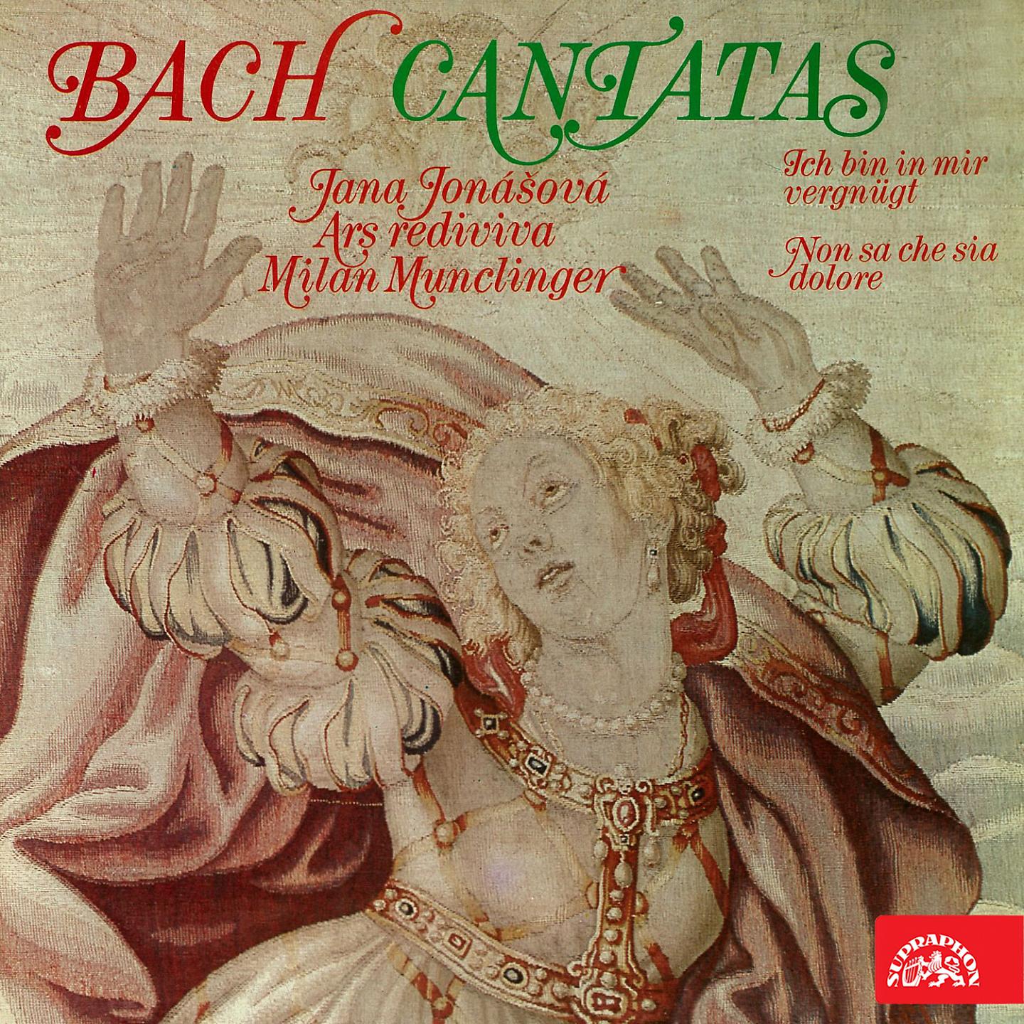 Постер альбома Bach: Cantatas