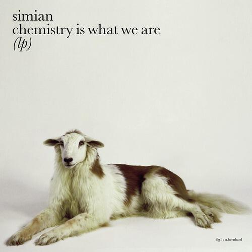 Simian - You Set Off My Brain