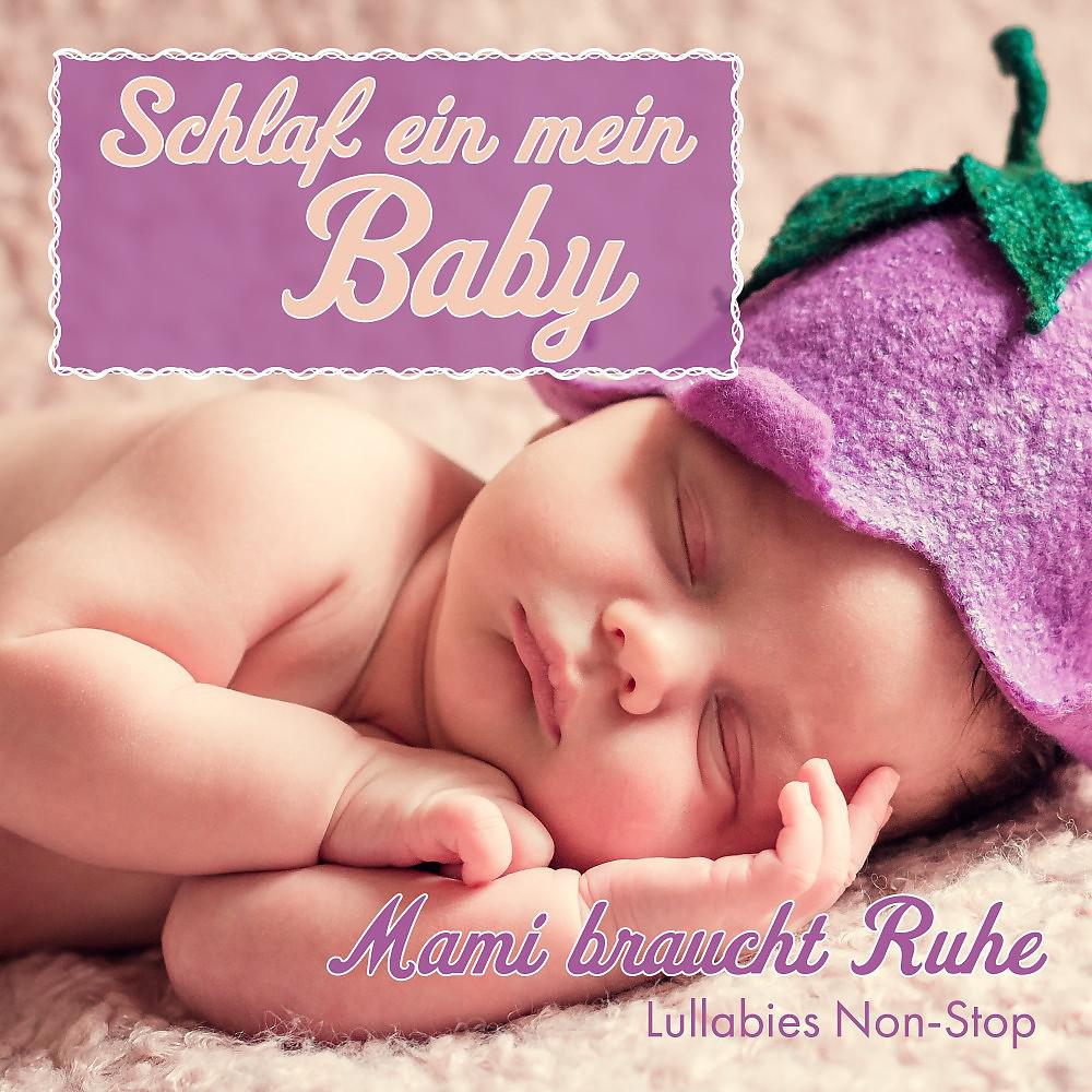 Постер альбома Schlaf ein mein Baby (Mami braucht Ruhe - Lullabies non stop)