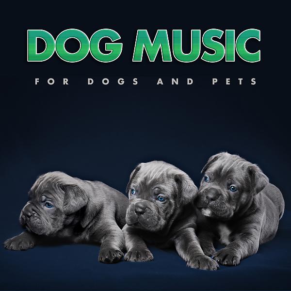 Постер альбома Dog Music For Dogs and Pets