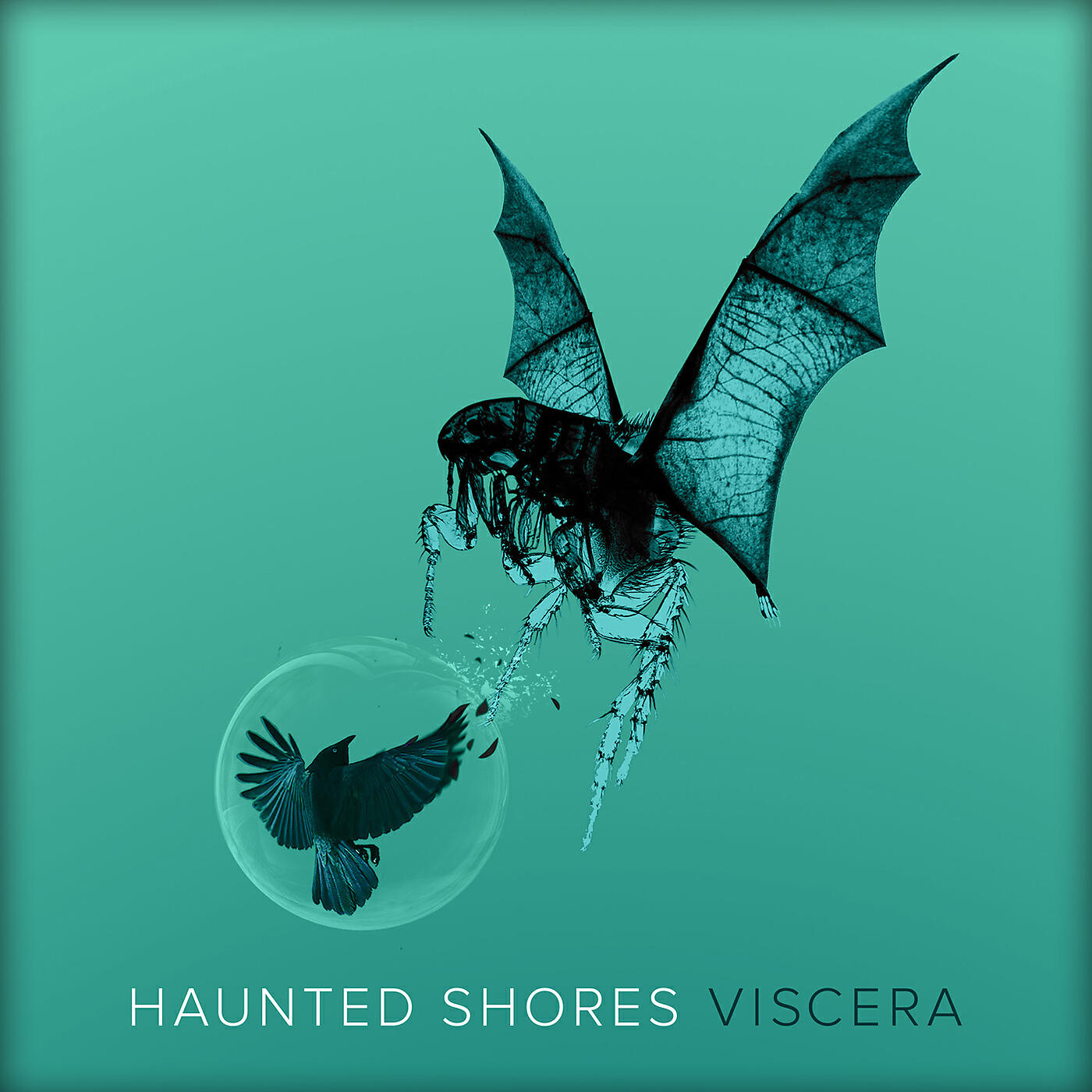 Haunted Shores - Blast Inc.