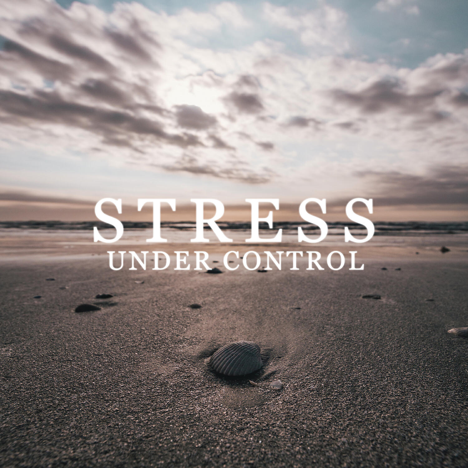 Less Stress Music Academy - Feel Inner Power