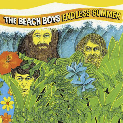 The Beach Boys - Fun, Fun, Fun