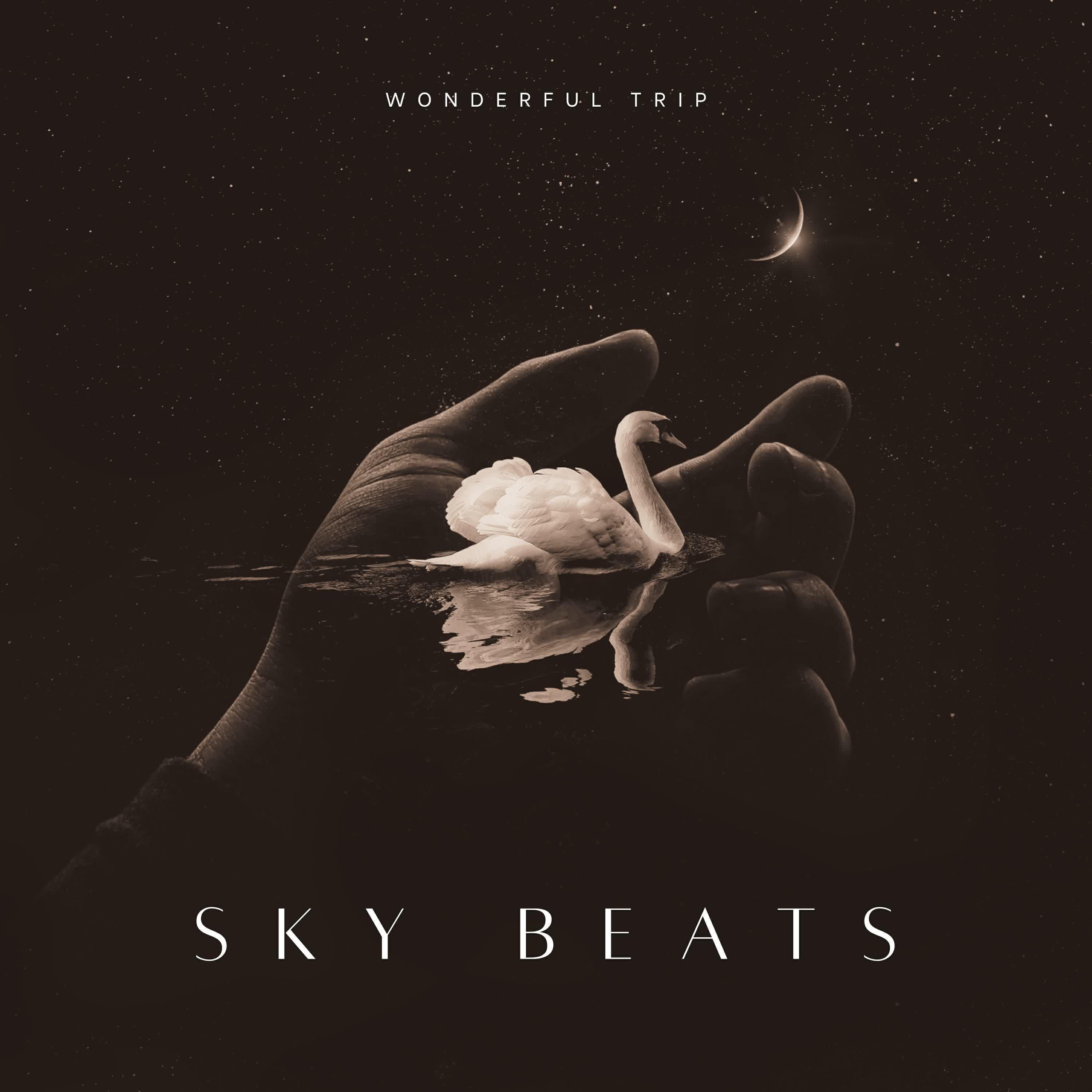 Sky Beats ноты все песни в mp3