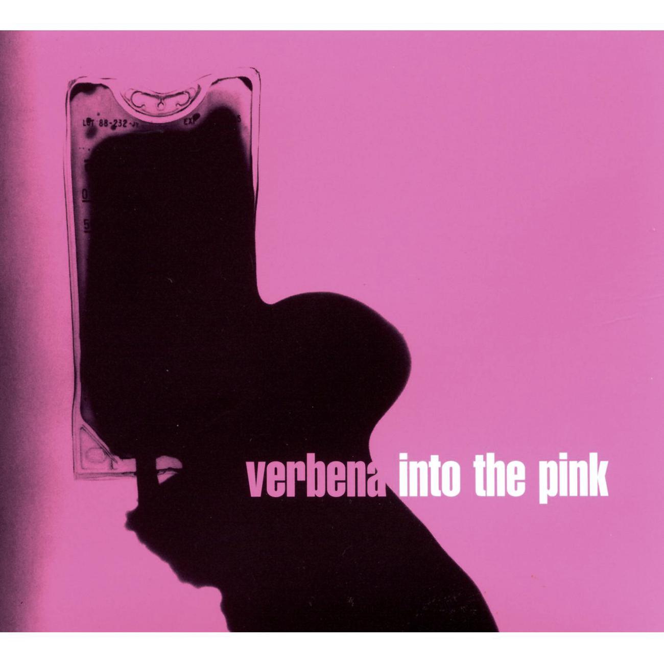 Постер альбома Into The Pink