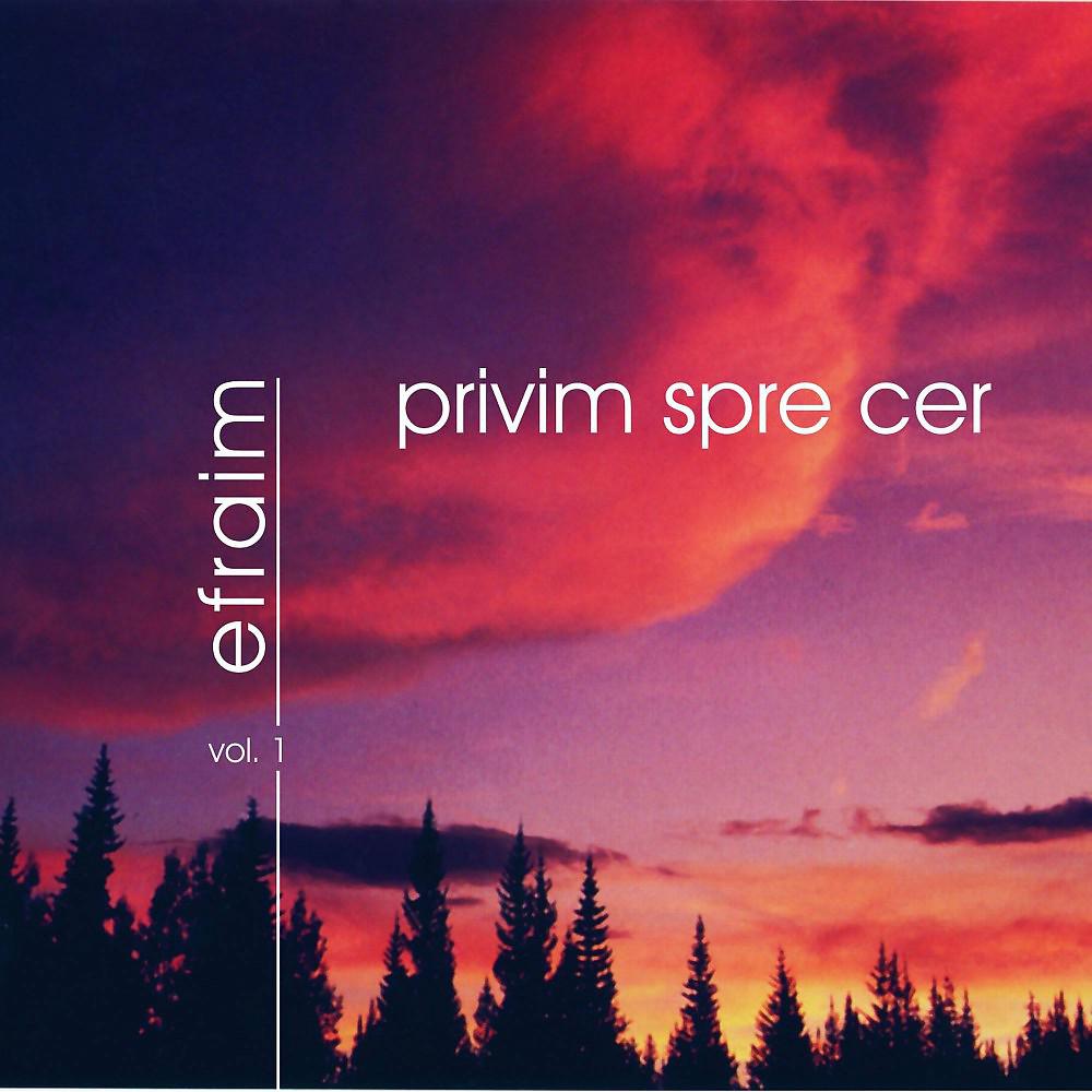 Постер альбома Privim spre cer, Vol. 1